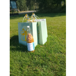 croquet